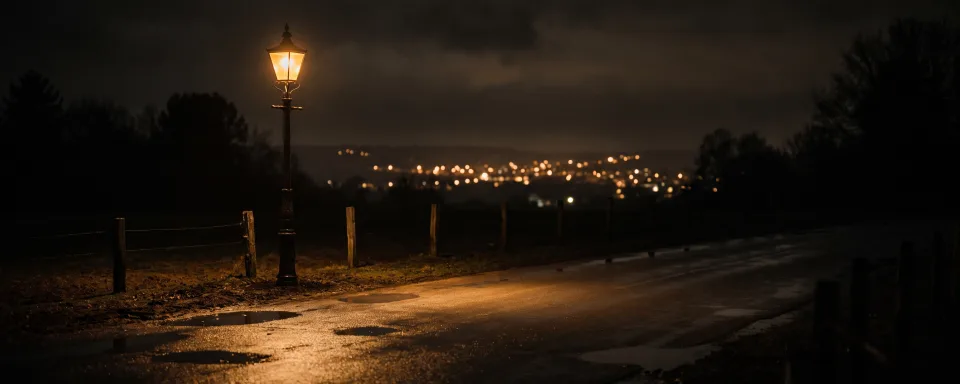 A single amber street lamp burning on an empty country road at night, its light pooling on wet asphalt, while a dense cluster of smaller, dimmer lights crowds the horizon far behind it.